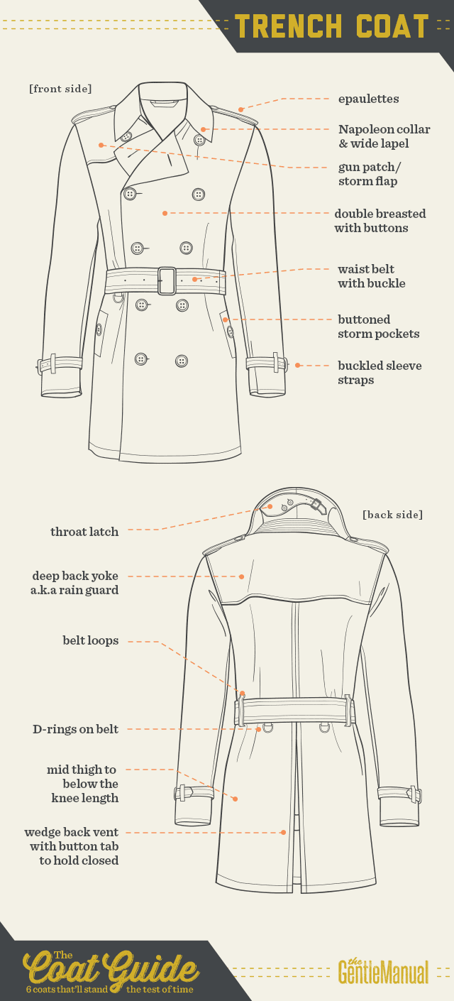 men's coats: trench coat infographic
