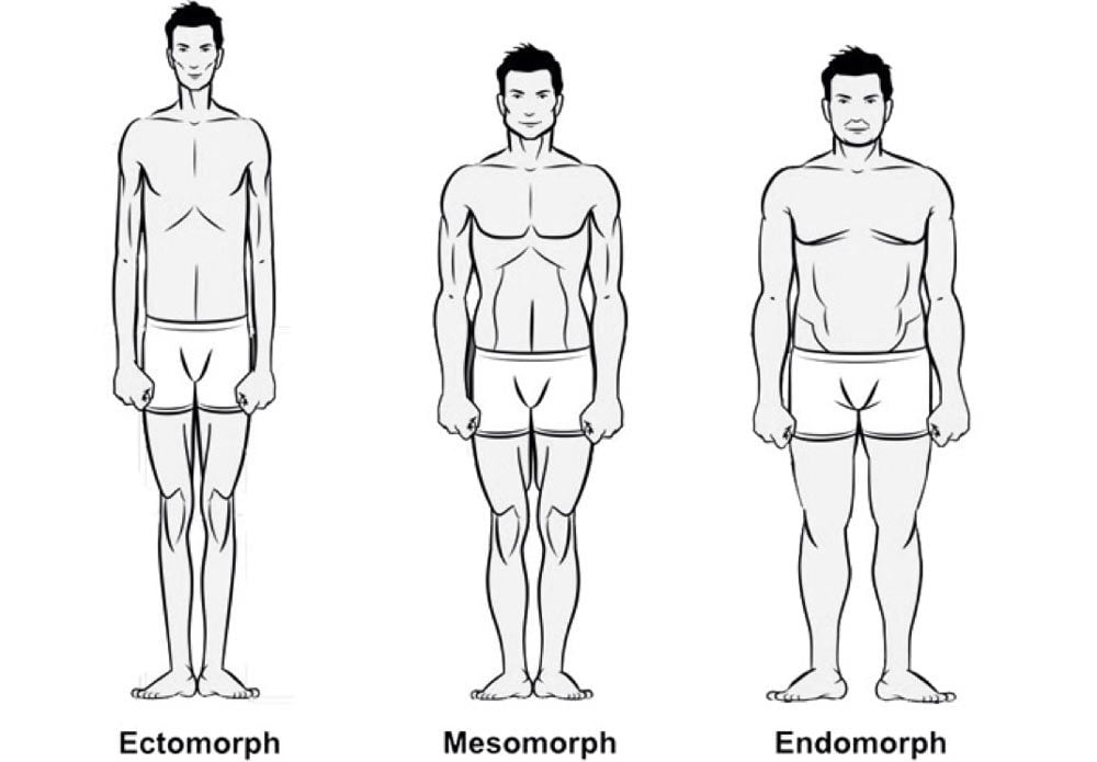 Workout Body Types