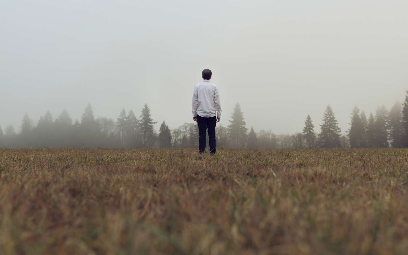 Man standing in foggy field (Hims)