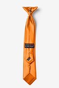 Apricot Clip-on Tie For Boys Photo (1)