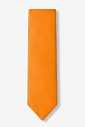 Apricot Extra Long Tie Photo (1)