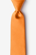Apricot Extra Long Tie Photo (0)