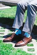Flocking Fabulous Aqua Medium-Large Sock Photo (1)