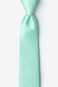 Aqua 3" Skinny Tie Photo (0)