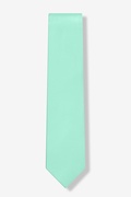 Aqua 3" Skinny Tie Photo (1)