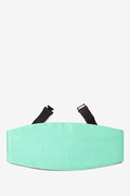 Aqua Cummerbund Photo (0)