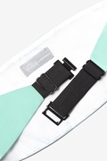 Aqua Cummerbund Photo (2)