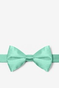 Aqua Pre-Tied Bow Tie Photo (0)