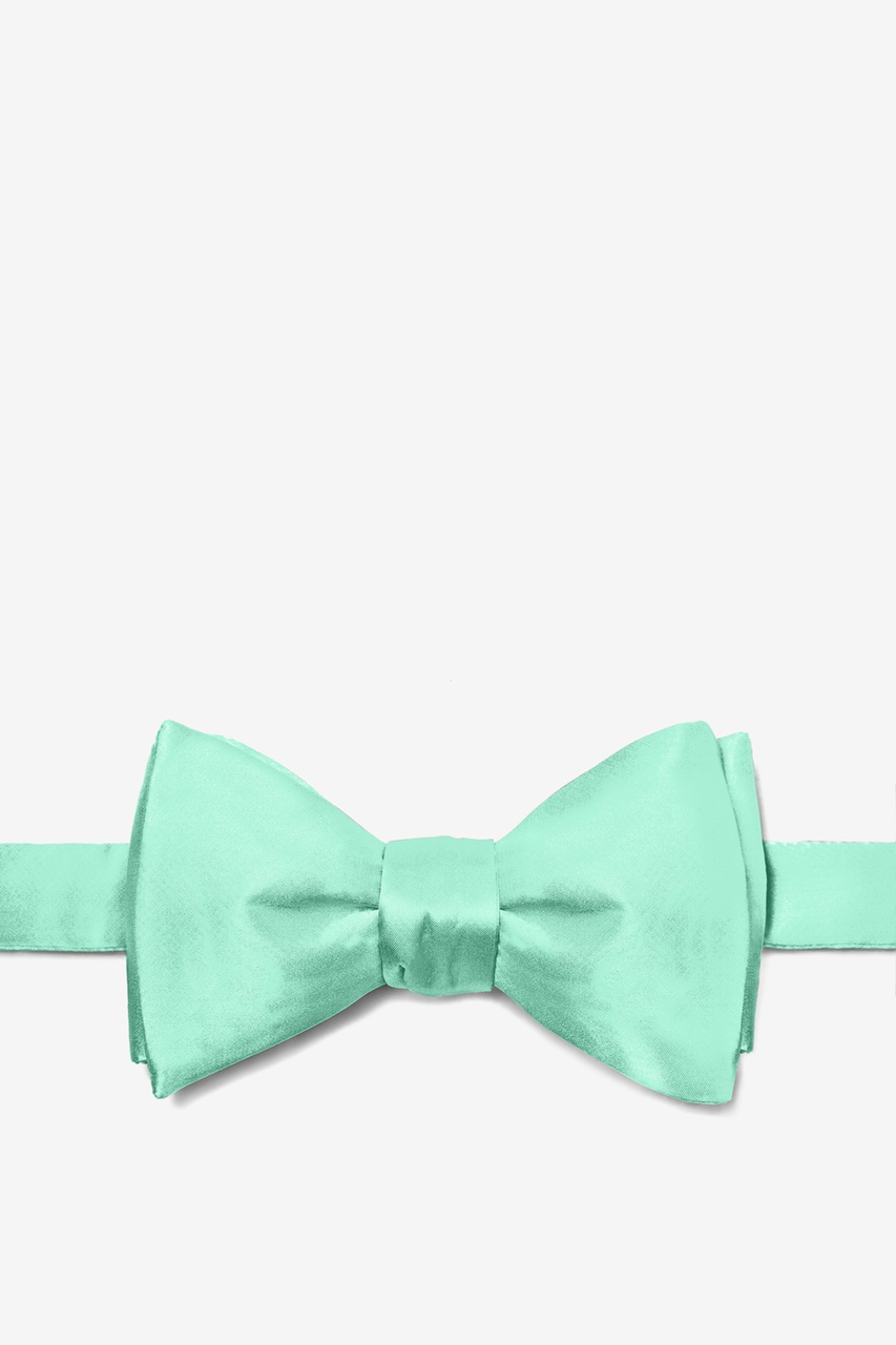 Aqua Self-Tie Bow Tie Photo (0)