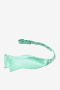 Aqua Self-Tie Bow Tie Photo (2)