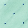 Aqua Silk Griffin Skinny Tie