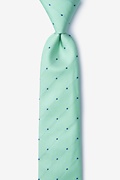 Griffin Aqua Skinny Tie Photo (0)