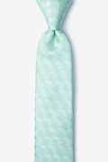 Salt Aqua Skinny Tie Photo (0)