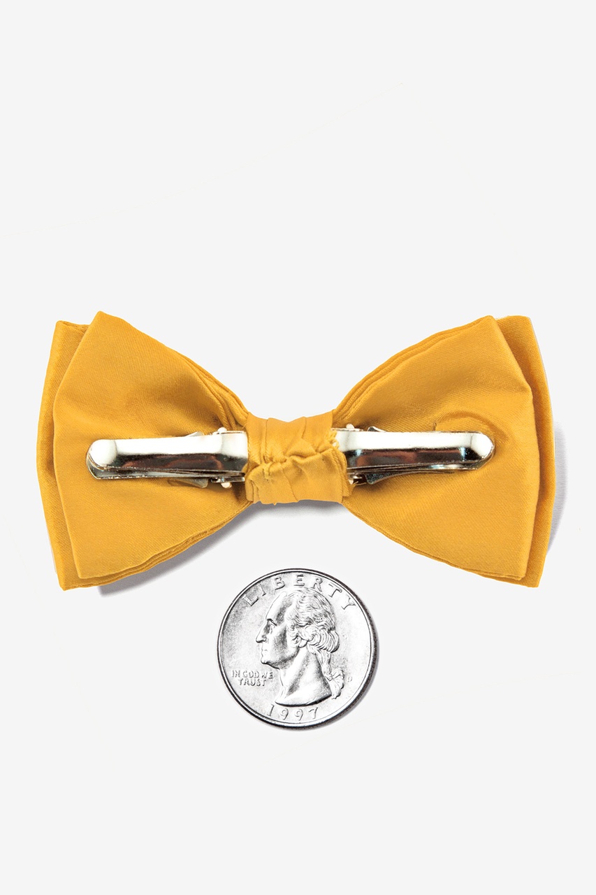 Artisans Gold Bow Tie For Infants Photo (1)