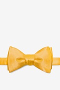 Artisans Gold Self-Tie Bow Tie Photo (0)