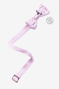 Baby Lilac Bow Tie For Boys Photo (1)
