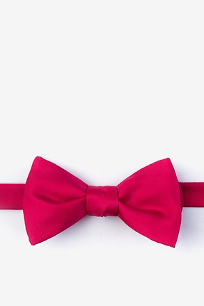 Black Silk Pretied Bow Tie | Ties.com