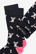 Chihuahua Dog Black Sock Photo (2)