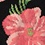 Black Carded Cotton Hibiscus Floral Medium-Large Sock