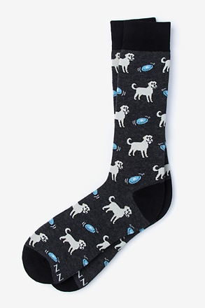 Golden Retriever Black Sock