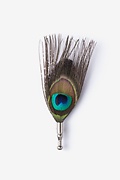 Peacock Feather Black Lapel Pin Photo (0)