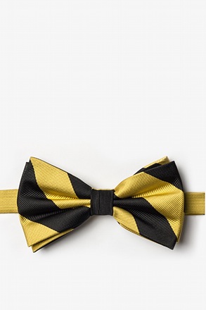 _Black & Gold Stripe Pre-Tied Bow Tie_