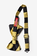 Black & Gold Stripe Pre-Tied Bow Tie Photo (1)