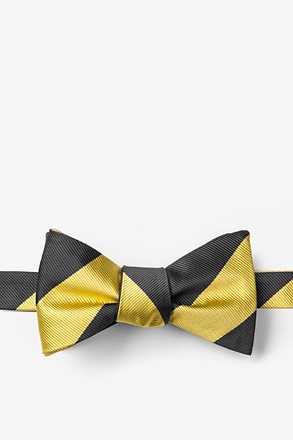 Black & Gold Stripe Self-Tie Bow Tie