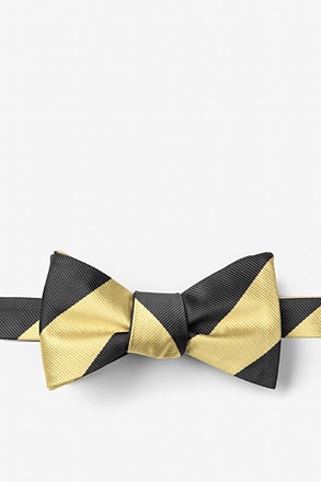 Black & Gold Stripe Self-Tie Bow Tie