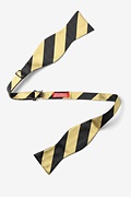 Black & Gold Stripe Self-Tie Bow Tie Photo (1)