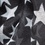 Black Polyester Starry Night Scarf
