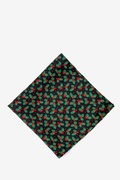 Holly Black Pocket Square Photo (0)