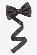 Revitalize Black Pre-Tied Bow Tie Photo (1)
