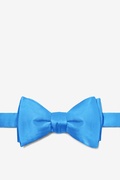 Blue Aster Self-Tie Bow Tie Photo (0)