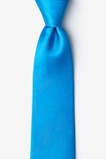 Blue Aster Skinny Tie Photo (0)