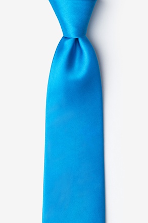 Blue Aster Skinny Tie
