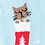 Blue Carded Cotton Meowy Christmas Small-Medium Sock