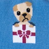 Blue Carded Cotton Santa's Lil' Yelpers Small-Medium Sock