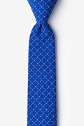 Ashland Blue Skinny Tie Photo (0)