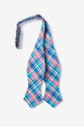 Barrette Plaid Blue Diamond Tip Bow Tie Photo (1)