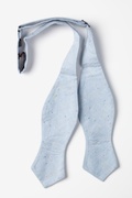 Blue Simplicity Speckle Diamond Tip Bow Tie Photo (1)