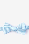 Clyde Blue Self-Tie Bow Tie Photo (0)