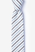 Englewood Blue Skinny Tie Photo (0)
