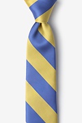 Blue & Gold Stripe