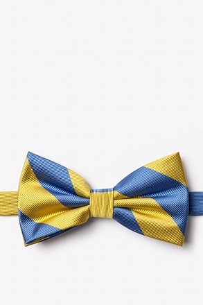 Blue & Gold Stripe Pre-Tied Bow Tie