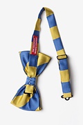 Blue & Gold Stripe Pre-Tied Bow Tie Photo (1)