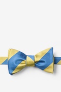 Blue & Gold Stripe Self-Tie Bow Tie Photo (0)