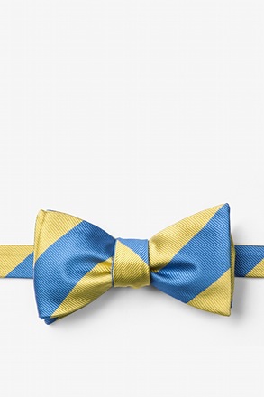 Blue & Gold Stripe Self-Tie Bow Tie