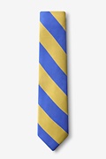 Blue & Gold Stripe Skinny Tie Photo (1)