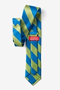 Blue & Lime Stripe Extra Long Tie Photo (1)